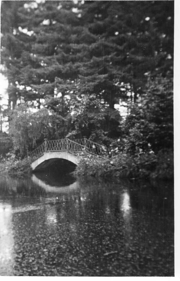 Gardens 6