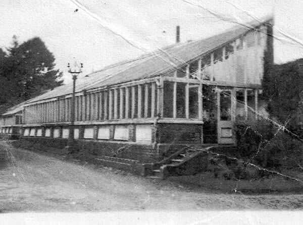 Gardens 9