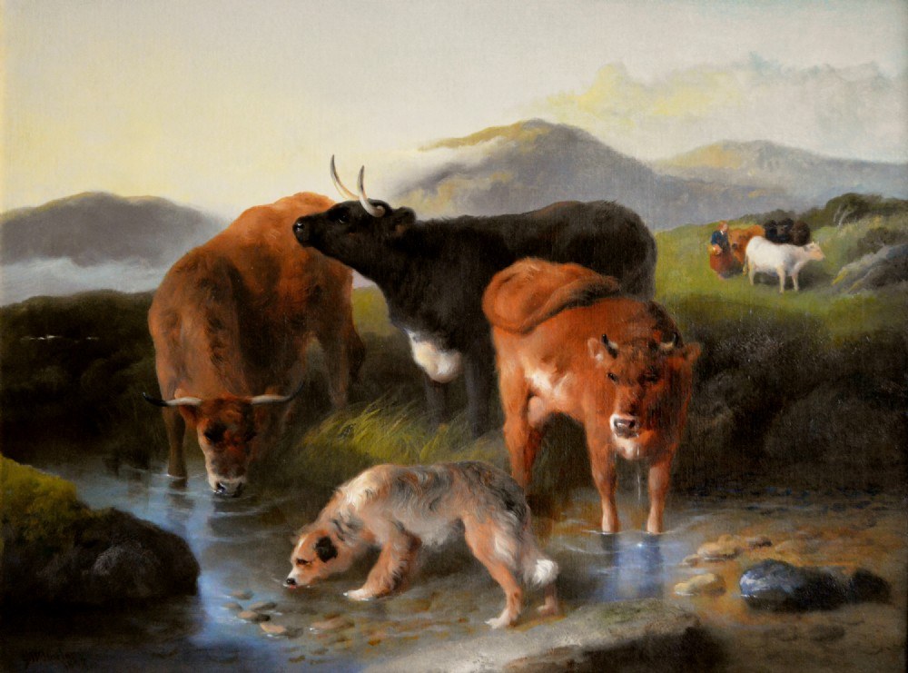 Horlor Cattle