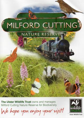 Cutting
